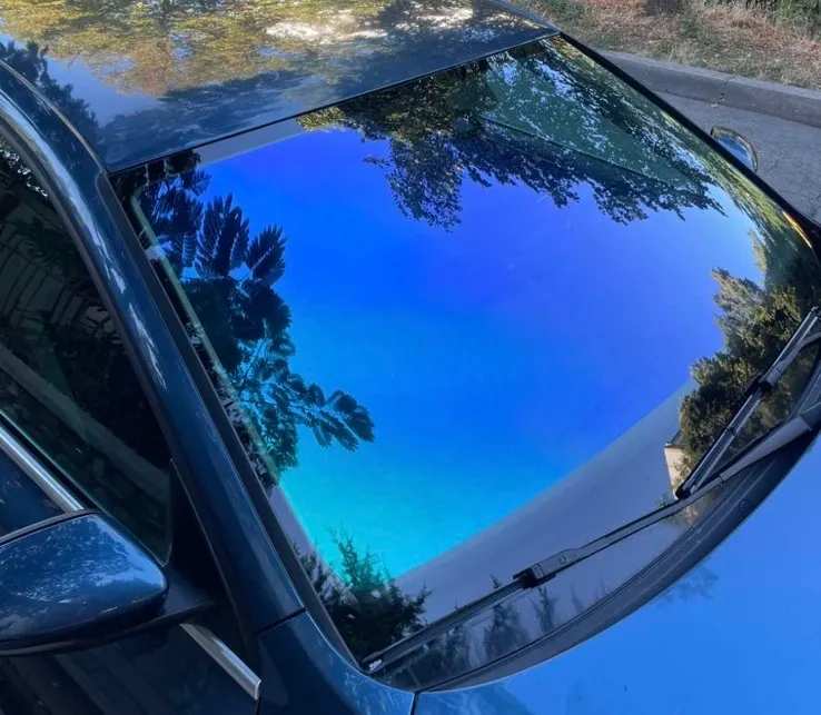 Chameleon Blue 60